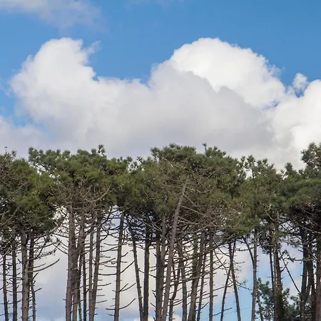 B9 - Nature, & River Dom wakacyjny