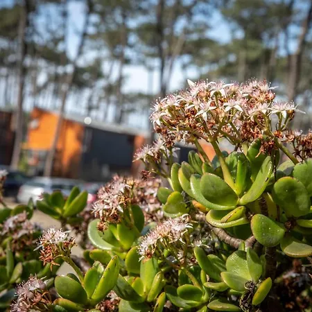 B9 - Nature, & River *