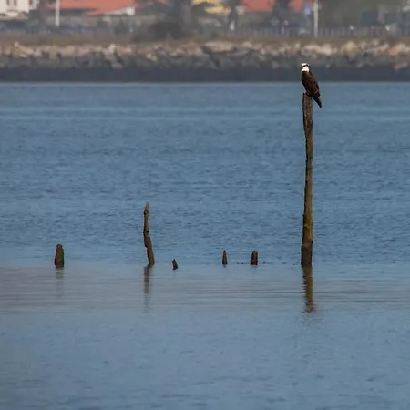 B9 - Nature, Beach&river * Fão