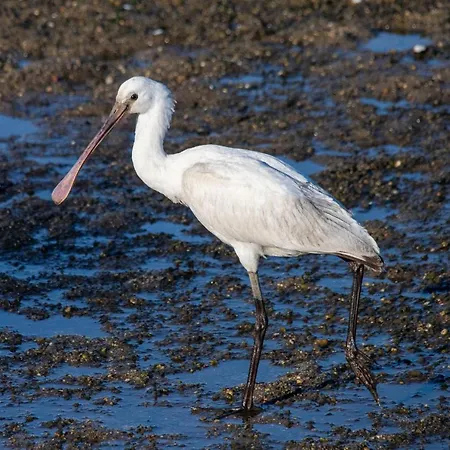 B9 - Nature, & River Holiday home