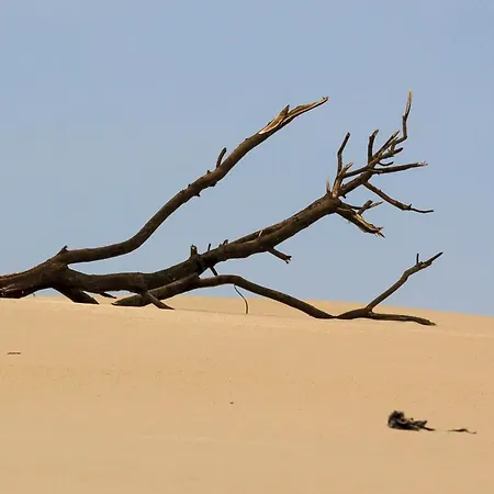 Hébergement de vacances B9 - Nature, & River