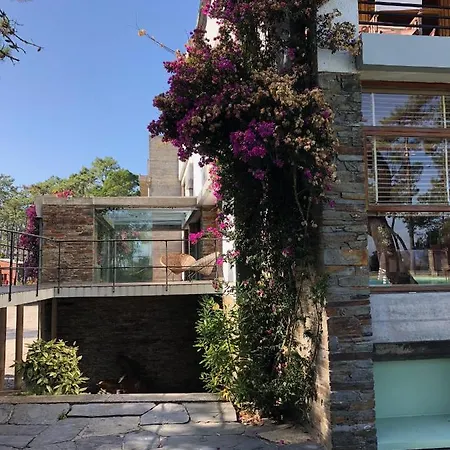 Ferienhaus B9 - Nature, Beach&river