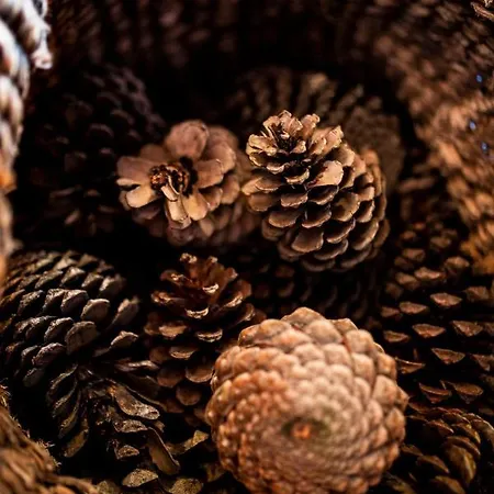 B9 - Nature, Beach&river Ferienhaus