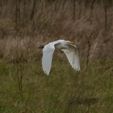 B9 - Nature, & River Hébergement de vacances