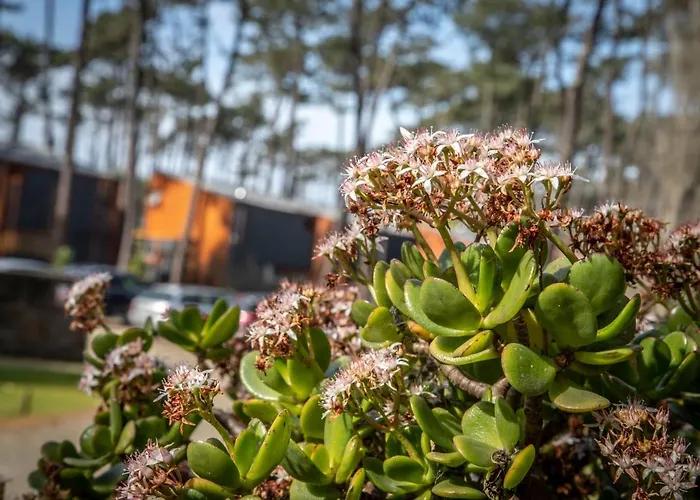 B9 - Nature, & River *