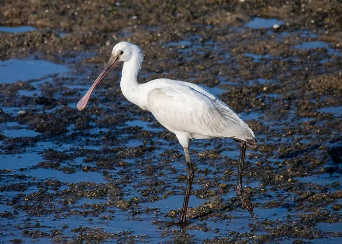 B9 - Nature, & River Feriehus