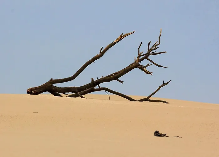 Holiday home B9 - Nature, & River