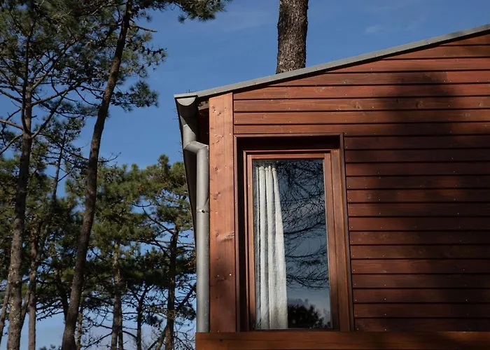 B9 - Nature, & River *