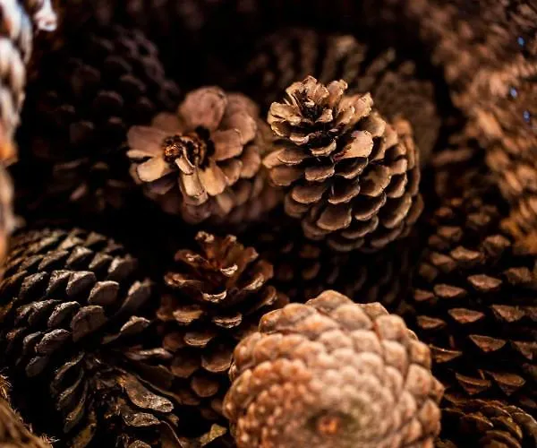 B9 - Nature, & River Casa de Férias