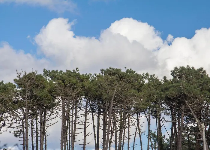 B9 - Nature, & River Feriehus