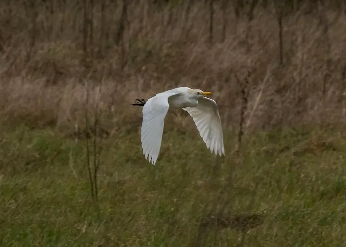 B9 - Nature, & River Holiday home