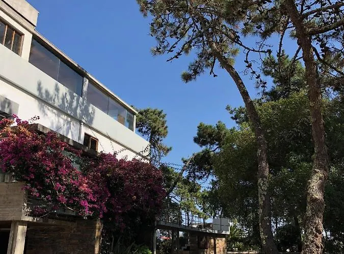 B9 - Nature, & River Feriehus *